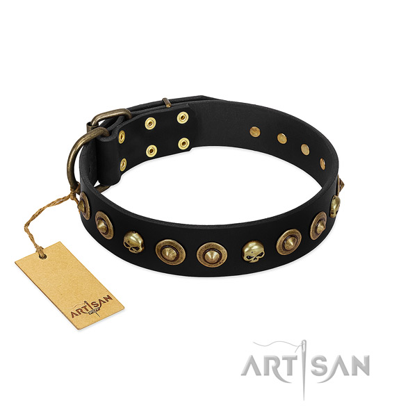 Full grain genuine leather collar with stylish design adornments for your pet