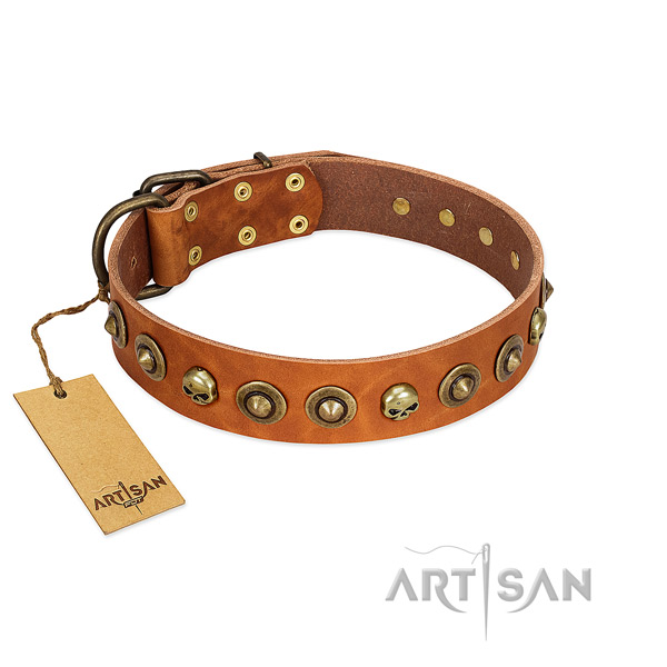 Full grain natural leather collar with significant embellishments for your doggie