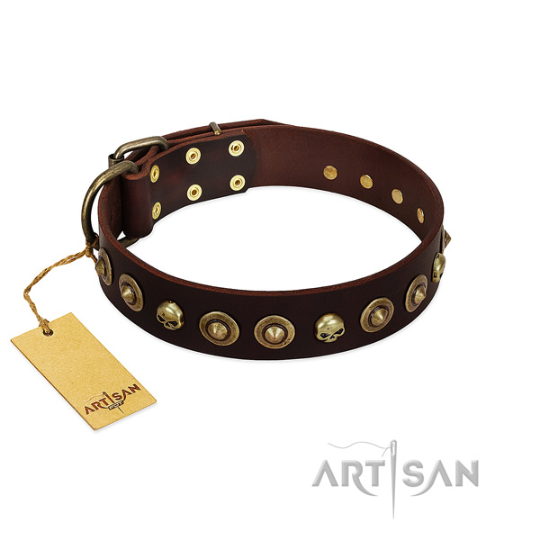 Genuine leather collar with stylish design adornments for your doggie
