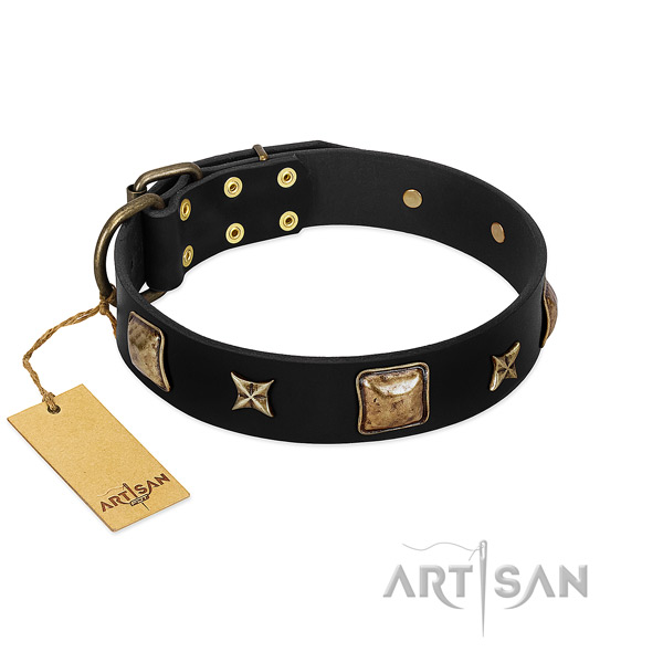 Leather dog collar of gentle to touch material with stylish adornments