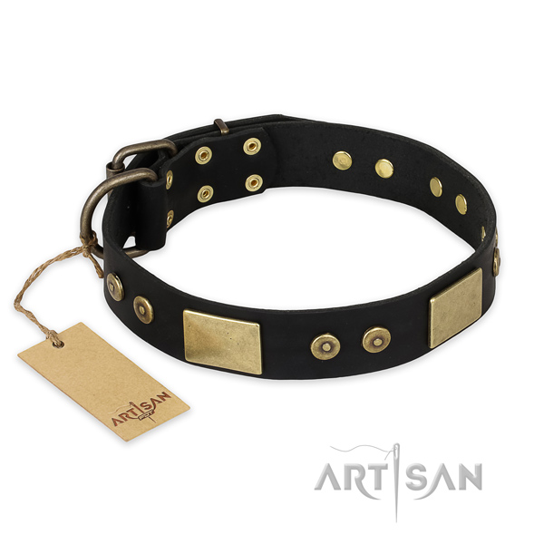Inimitable full grain leather dog collar for everyday use