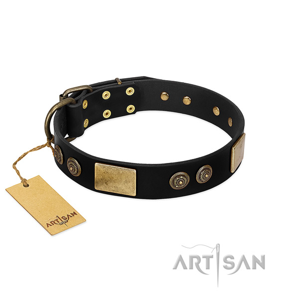Reliable studs on full grain leather dog collar for your canine