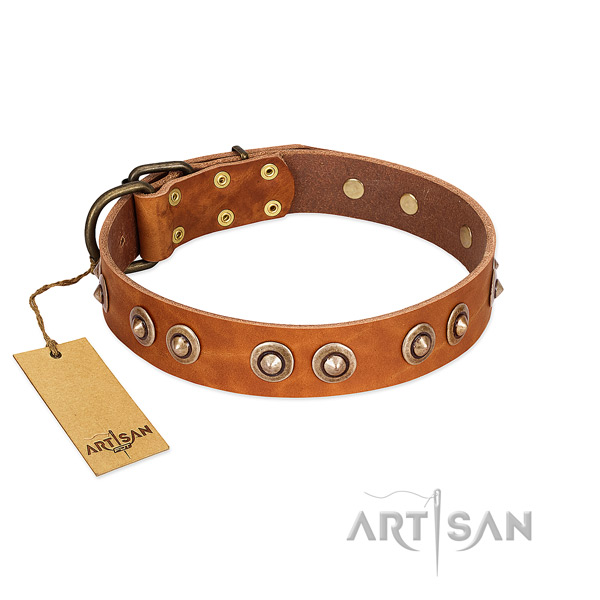 Durable studs on full grain genuine leather dog collar for your pet