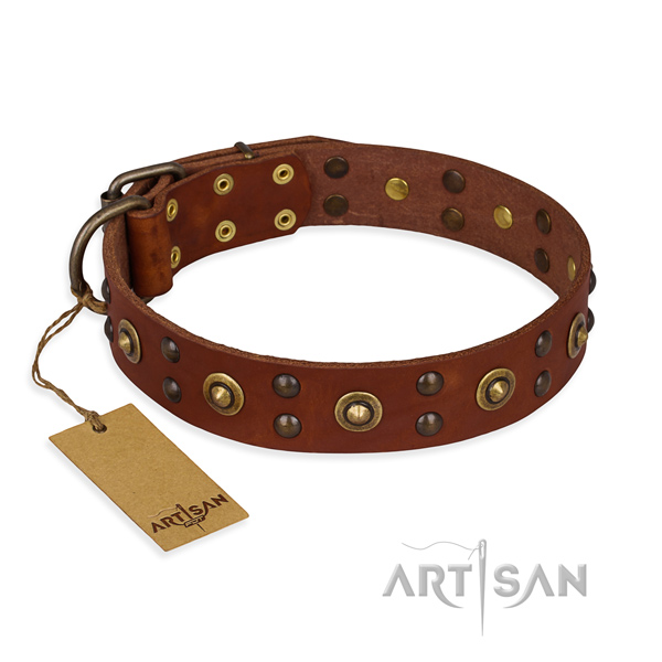 Decorated full grain natural leather dog collar with strong traditional buckle