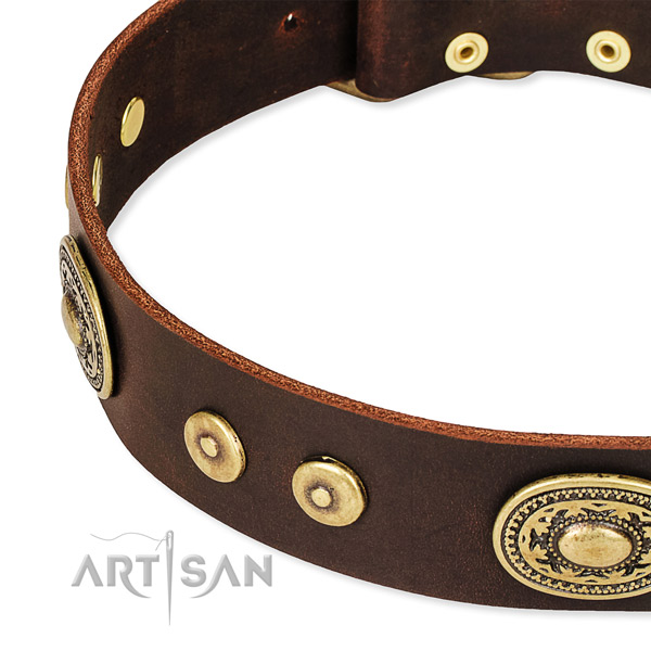 Studded dog collar made of quality genuine leather