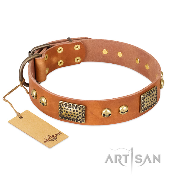 Easy adjustable full grain natural leather dog collar for daily walking your doggie