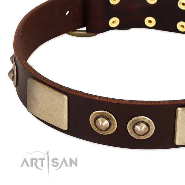 Strong buckle on genuine leather dog collar for your dog