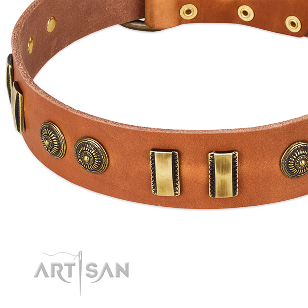 Corrosion resistant adornments on leather dog collar for your canine
