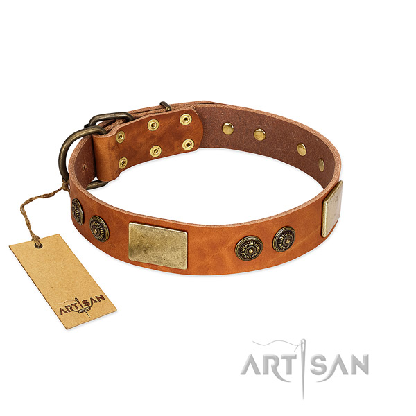 Adjustable genuine leather dog collar for walking