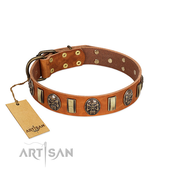 Easy to adjust full grain genuine leather dog collar for basic training