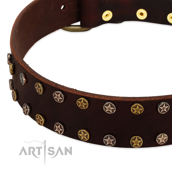 Daily walking full grain leather dog collar with remarkable adornments