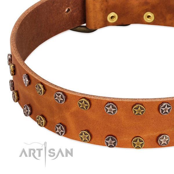 Everyday use genuine leather dog collar with trendy decorations