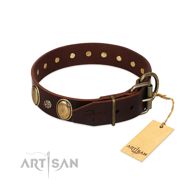 Everyday use reliable genuine leather dog collar