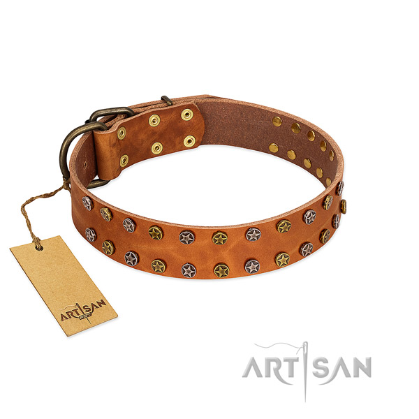 Easy wearing high quality full grain natural leather dog collar with adornments