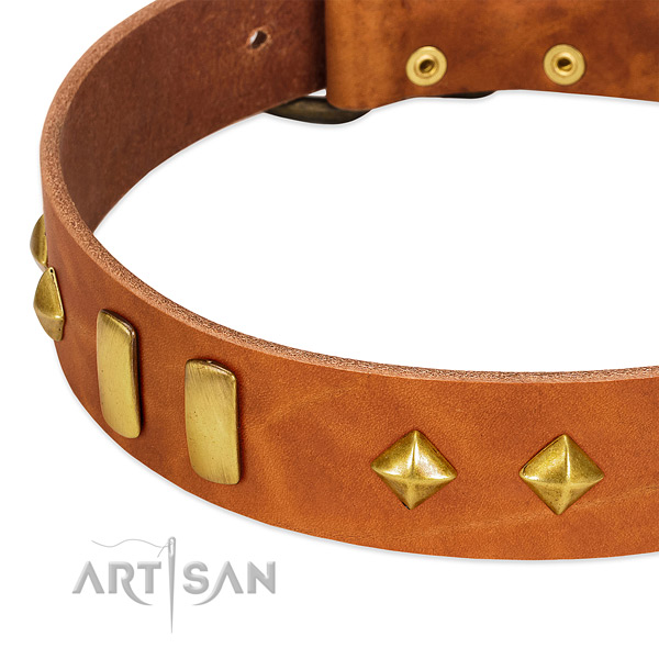 Comfortable wearing genuine leather dog collar with trendy studs