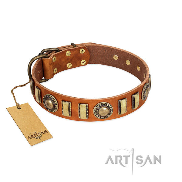Embellished leather dog collar with durable D-ring