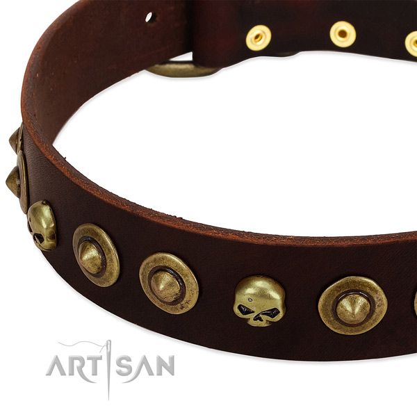 Exquisite adornments on genuine leather collar for your doggie