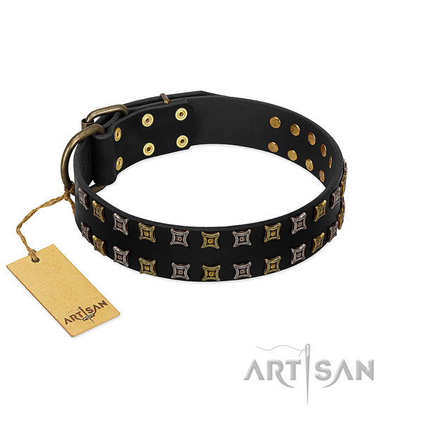 Gentle to touch leather dog collar with embellishments for your canine