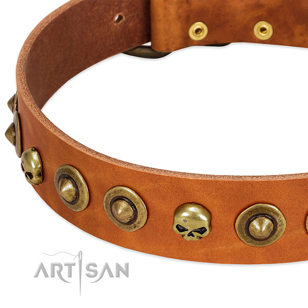 Impressive decorations on full grain natural leather collar for your four-legged friend