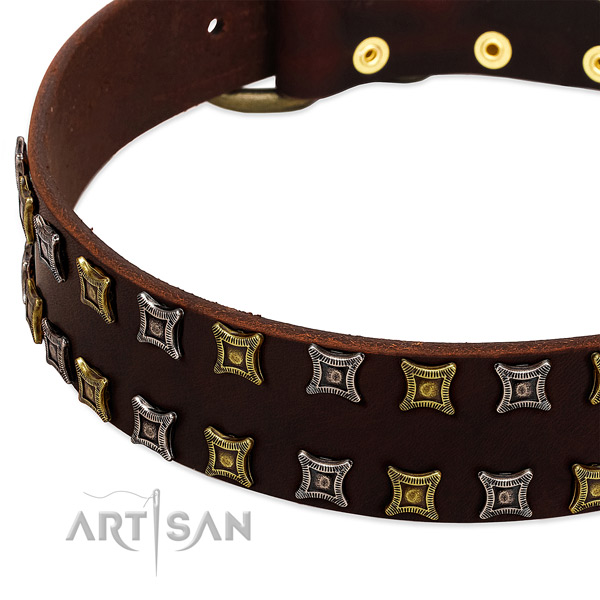 Durable full grain leather dog collar for your beautiful four-legged friend