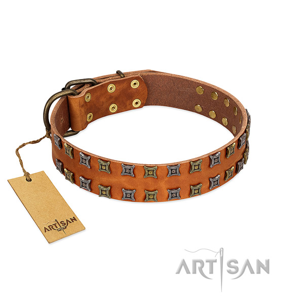 Strong genuine leather dog collar with studs for your doggie