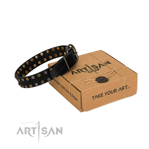 Full grain leather collar with incredible studs for your canine