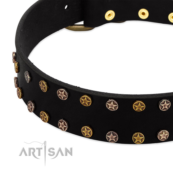Extraordinary decorations on natural leather collar for your pet