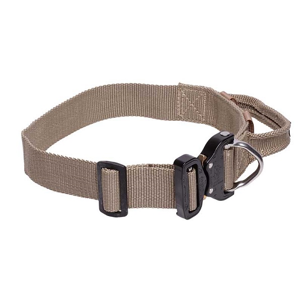 Nylon Dog Collar for Training