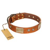 "Ancient Treasures" FDT Artisan Tan Leather Boxer Collar with Antiqued Plates and Studs  "Ancient Treasures" FDT Artisan Tan Leather Boxer Collar with Antiqued Plates and Studs