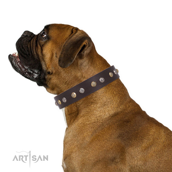 Genuine leather dog collar with reliable buckle and D-ring for comfortable wearing