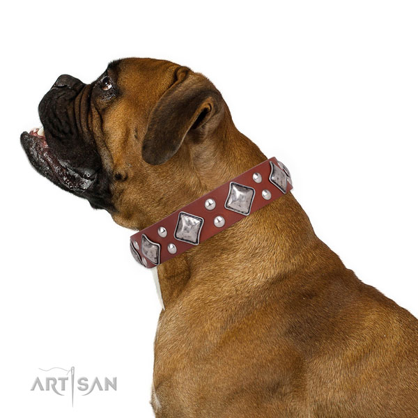 Everyday use adorned dog collar made of reliable natural leather