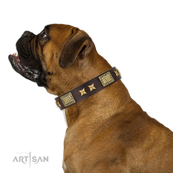 Easy wearing dog collar with unusual decorations