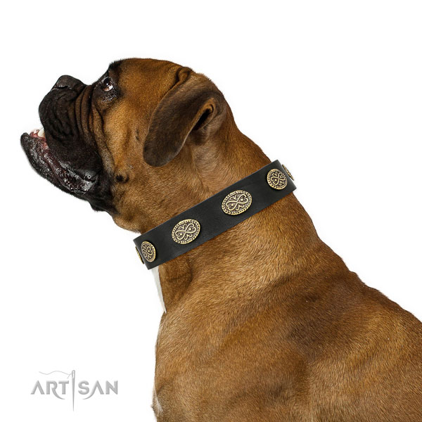 Stylish embellishments on everyday use natural genuine leather dog collar