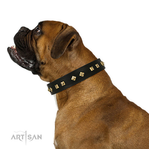 Trendy studs on easy wearing full grain natural leather dog collar
