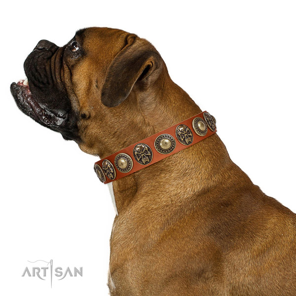Fashionable leather collar for your impressive dog