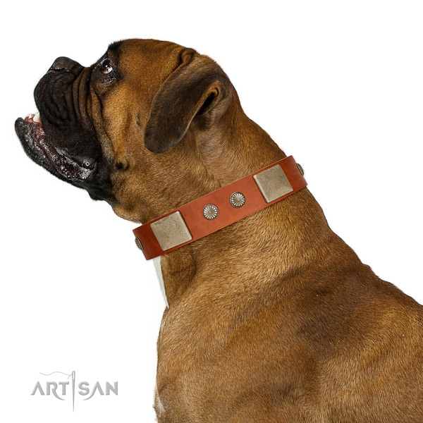 Inimitable natural genuine leather collar for your attractive four-legged friend
