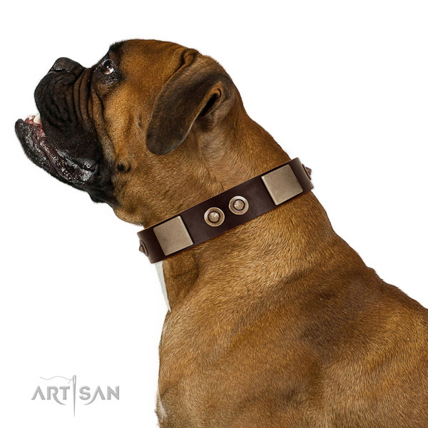 Corrosion proof buckle on full grain natural leather dog collar for walking