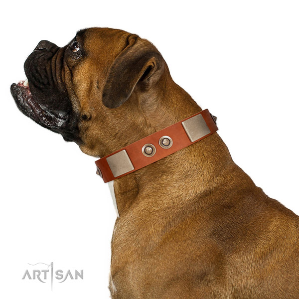 Rust-proof traditional buckle on full grain leather dog collar for everyday walking