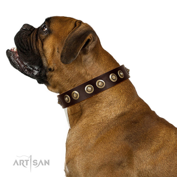 Corrosion proof fittings on leather dog collar for daily walking