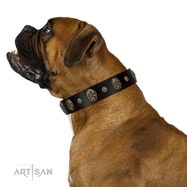Comfy wearing dog collar of leather with amazing decorations