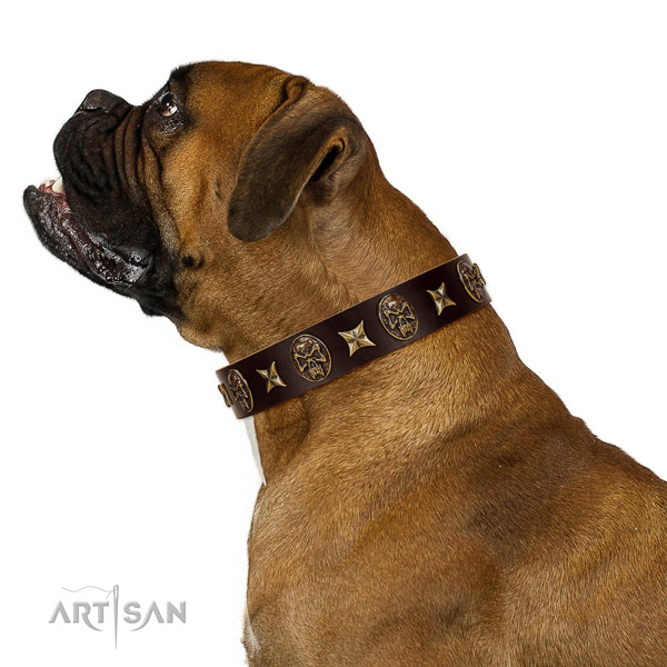 Basic training dog collar of leather with amazing adornments