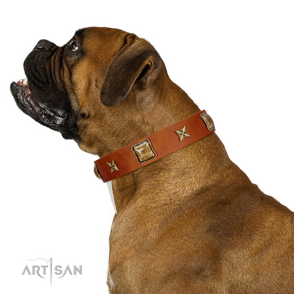Trendy full grain leather dog collar with decorations
