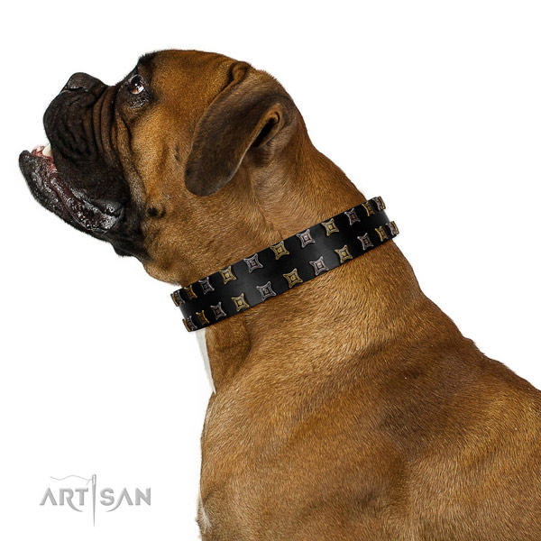 Top notch natural leather dog collar with studs for your dog