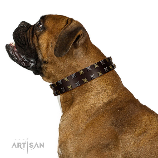 Gentle to touch full grain leather dog collar with decorations for your four-legged friend