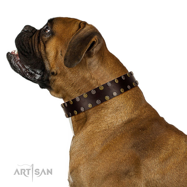 Walking natural leather dog collar with embellishments