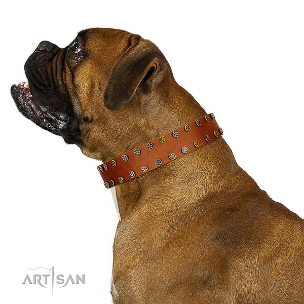Daily use gentle to touch natural leather dog collar with studs