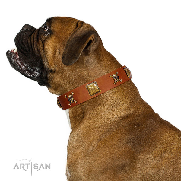Unique genuine leather dog collar with rust resistant adornments