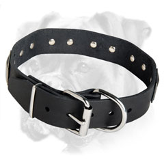 Leather collar with reliable buckle