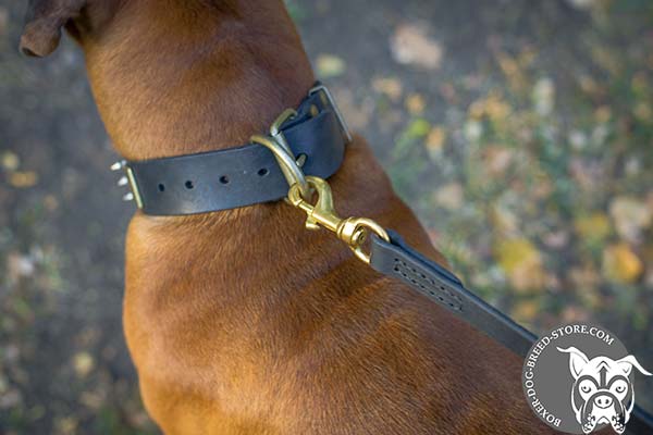 Leather Boxer collar with brass buckle and D-ring