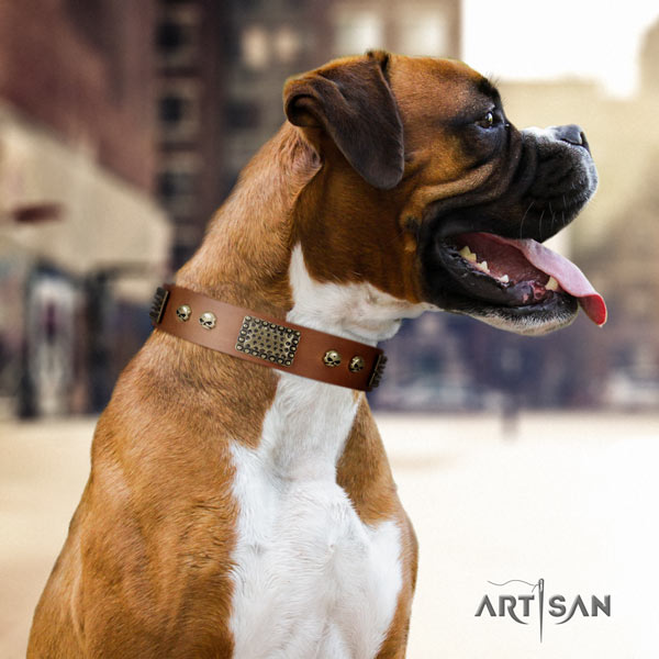 Boxer stylish design natural leather collar with corrosion proof fittings